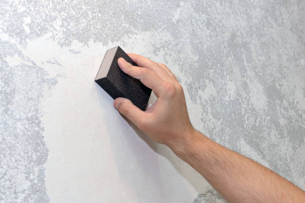Best Attic Mold Removal  in Swoyersville, PA