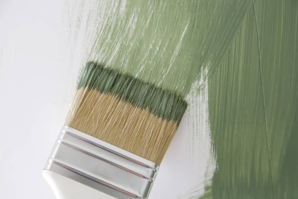 Best Black Mold Removal  in Swoyersville, PA