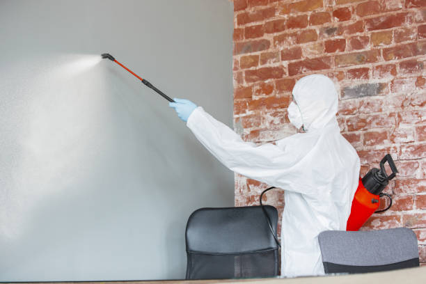 Best Indoor Air Quality Assessment  in Swoyersville, PA