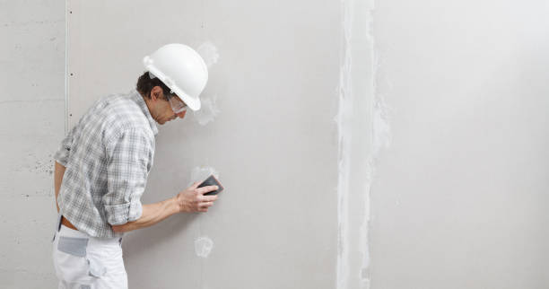 Best Mold Removal for HVAC Installations  in Swoyersville, PA