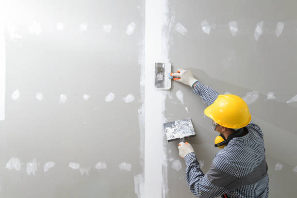 Best Black Mold Removal  in Swoyersville, PA