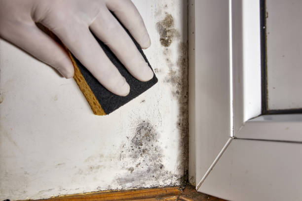 Best Dehumidification Services  in Swoyersville, PA